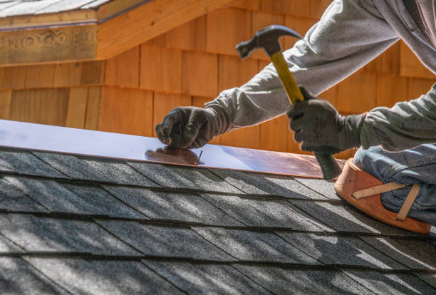 Best Sheet Metal Roofing  in Milton, FL
