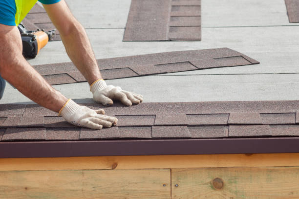 Best Solar Panel Roofing Installation  in Milton, FL